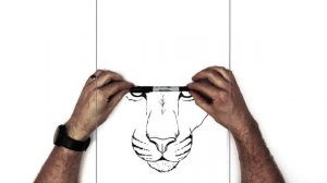 How To Draw A Panther | Step By Step