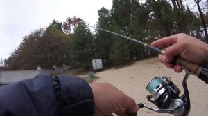 Окуни лесного озера. Как ловить окуня в октябре.