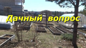 Весной на участке отвечаю на вопросы эстафеты.