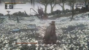 Bloodborne Присутствие луны (Moon Presence)