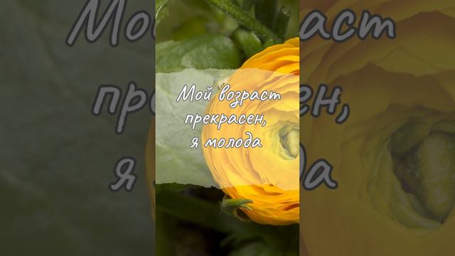 Мой прекрасный возраст #женскаяпсихология #жизнь #вселенная #мудрость #любовьксебе