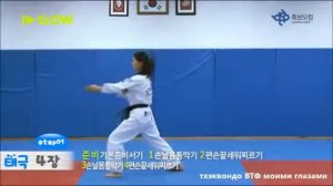 4 Пхумсэ - Тхэгук Са джан.