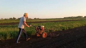 вариант крепления бороны на мотоблок