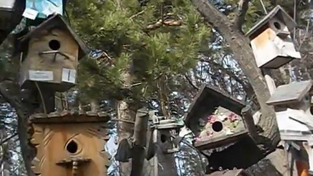 новосибирский зоопарк на улице 3 часть скворечники для птиц смотреть онлайн