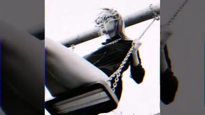 Честер небро & HE. KURILI Чиви