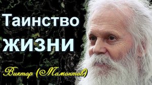 Тайны жизни! Встреча с БОГОМ - архимандрит Виктор (Мамонтов)