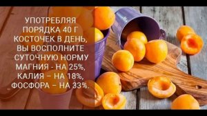 Абрикосовые косточки польза и вред для здоровья.