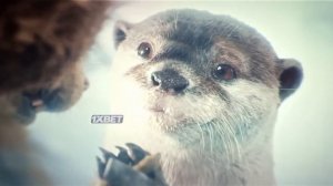 Ракета розговаривает с Лейлой. Стражи Галактики 3