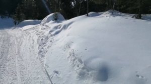 Бурятия, пешком к горе Мамай. #бурятия #байкал #сибирь #мамай