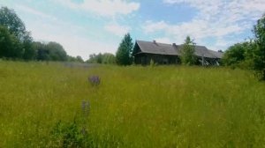 Заброшенные поселки Нижегородской области \ Казанер, Гражданское