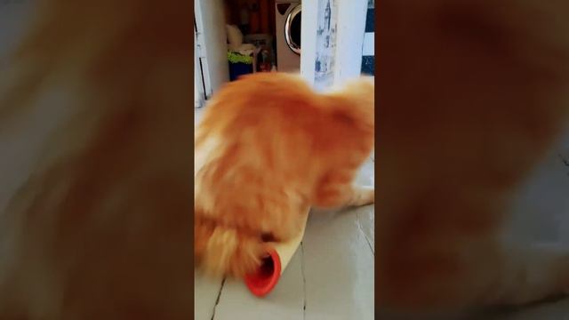 Игры МейнКун 🤣❤👍 смотреть онлайн