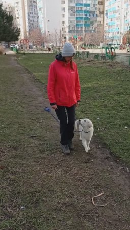 С днем голдена 03-02-24 (3.5 месяца)