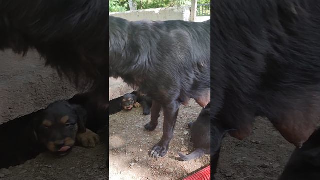 Агурские водопады. Сочи. Забирайте 🙏
