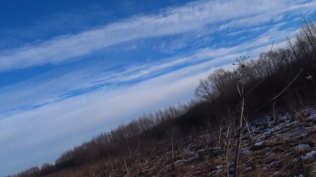 Снова удачная охота на лис 20.12.2022. смотреть онлайн