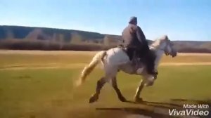 Сахам ата. Ваня Трофимов.