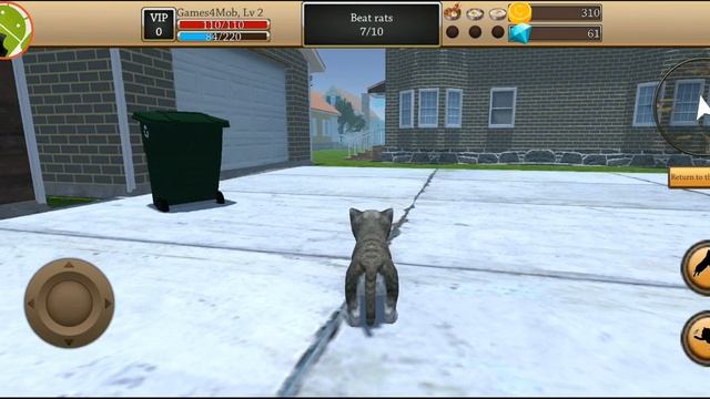 CAT SIMULATOR - ANIMAL LIFE (Herbs and Rats quests)- Gameplay Android смотреть онлайн