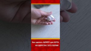 Как сделать шляпу для кота из его же шерсти