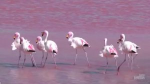 Разноцветные озера. 5 удивительных водоемов.