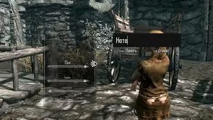 TES V Skyrim. Женская доминация. Приключения голой женщины в скайриме, intro