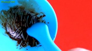 Готовим МАССАЖНОЕ масло с мумие для ухода за кожей.