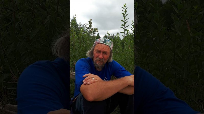 Александр Советов про ВРСП