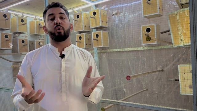 Java ke Colony Best ya Single Pair pure Malomat is Vedeo me смотреть онлайн