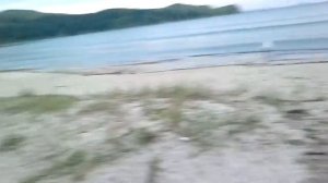 Морепродукты... Выброшеные после шторма!