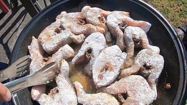 ПРИГОТОВИЛ ДВЕ ЩУКИ НА ОГНЕ.РЕЦЕПТ ЖАРЕНОЙ ЩУКИ смотреть онлайн