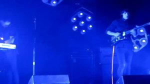 Дельфин | Dolphin - Весна