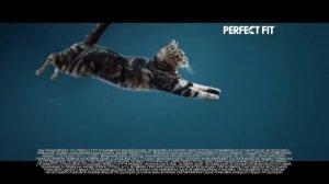 Perfect fit реклама 2022