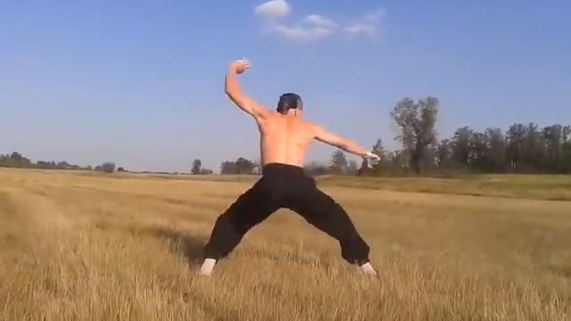 УШУ, 24 формы " Игра пяти зверей ".