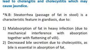 محاضرة 16 طفيليات oro Intestinal flagellates and Giardia lamblia الفرقة 1تخصص مختبرات د/دينا ابراهي