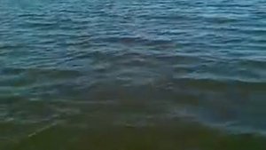 рыбалка в приобье 2012