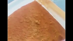 Сушилка для овощей и фруктов. Промышленная сушилка овощей. Порошок моркови, тыквы, виноградного жом