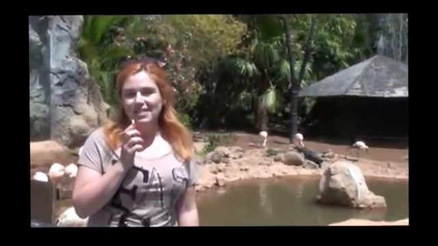 Построить Бизнес в Любой точке Мира. смотреть онлайн