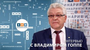 Интервью с Владимиром Гоппе