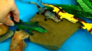 Крокодилы и лемур. ГЛУПЫЕ крокодилы!!! Мультики для детей. Игрушки видео.