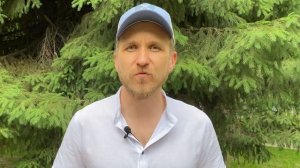 Как выбрать лесной участок. Как найти лесной участок. Аренда лесного участка