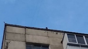 Скинул телефон С 10 ЭТАЖА!!!!! 1 часть