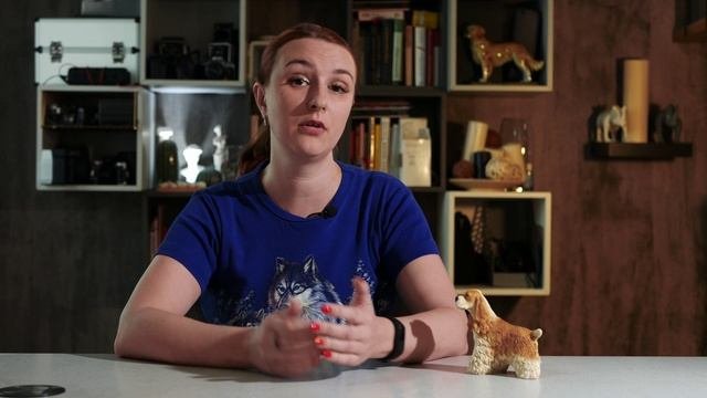 Породы собак. Какую выбрать?