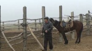 Пологое Займище