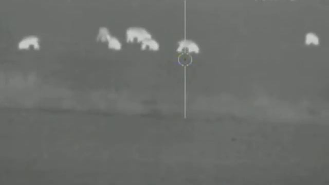 Pulsar смотреть онлайн