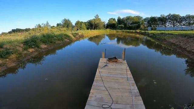 В Псковских прудах можно выращивать Австралийских раков!!! смотреть онлайн