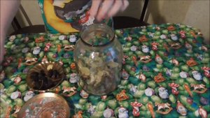 Травяной чай рецепт.   Повышаем иммунитет чаем. Как заварить лечебный чай. Полезный травяной чай