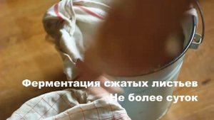 Заготовка Ферментация Сушка Иван-Чая