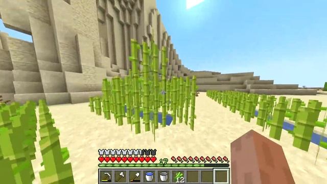 My Survival ( no cheats ) World In Java Edition I  Minecraft Java Edition #1