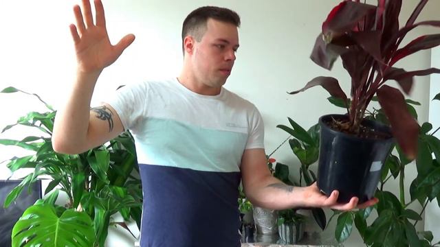 Easy Propagating Plants смотреть онлайн