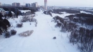 Квадрокоптер, лес, река и лошади.mp4