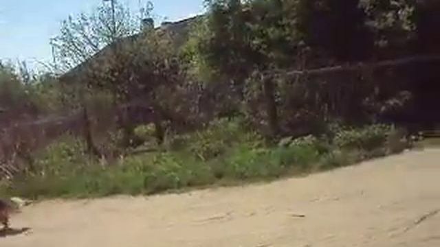 Ещё 6Б,Кадников