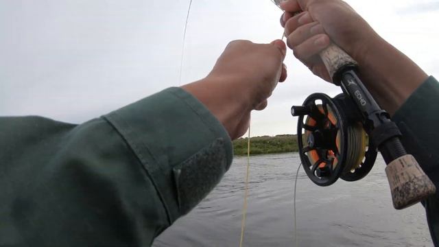 Catching MASSIVE Dolly Varden! Alaska смотреть онлайн